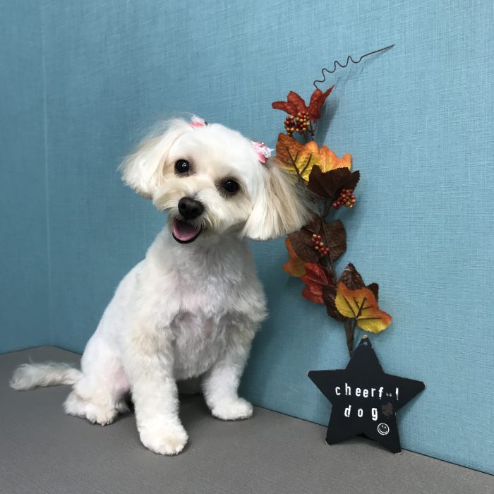 北村　あんずちゃん