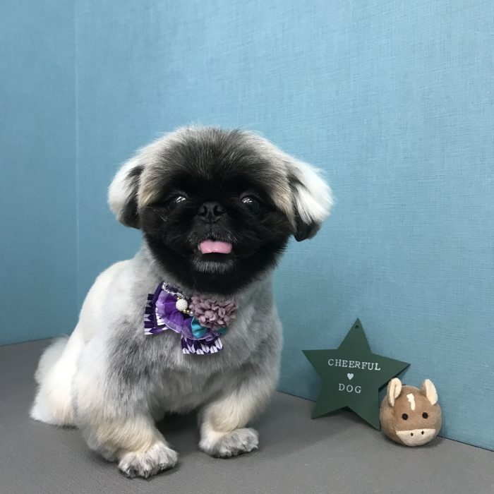 馬場　ぽんずくん