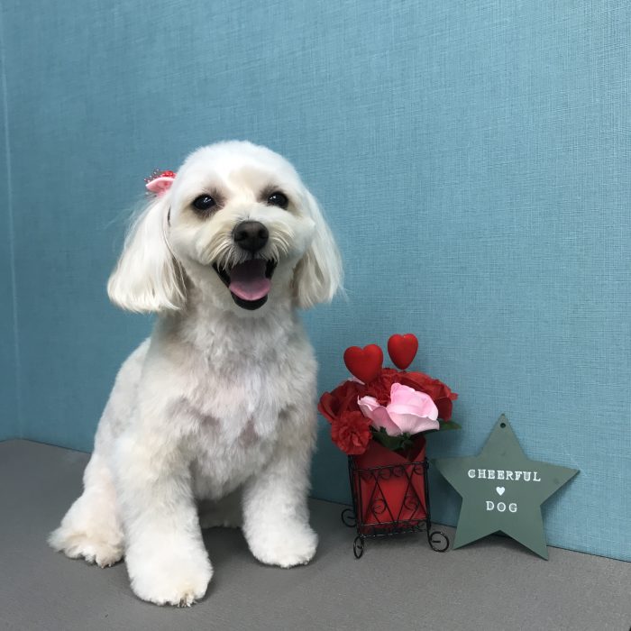 北村　あんずちゃん