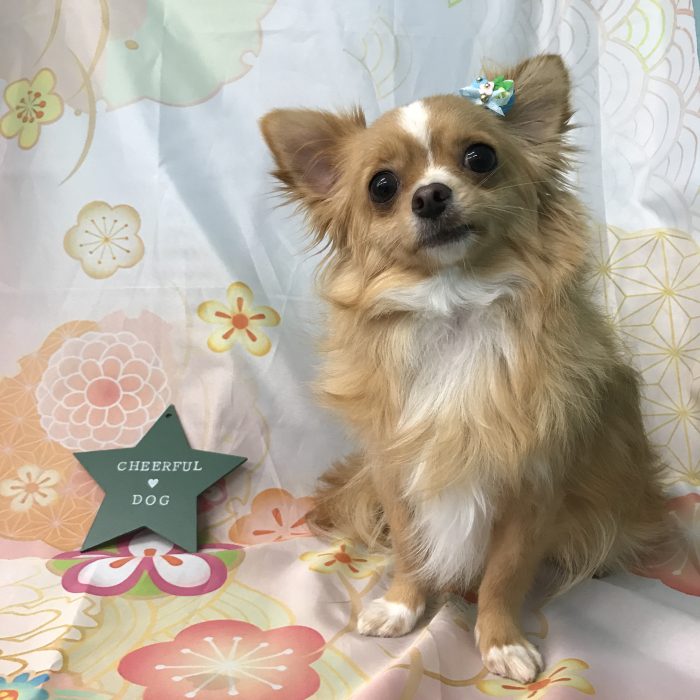 横西　マロンくん