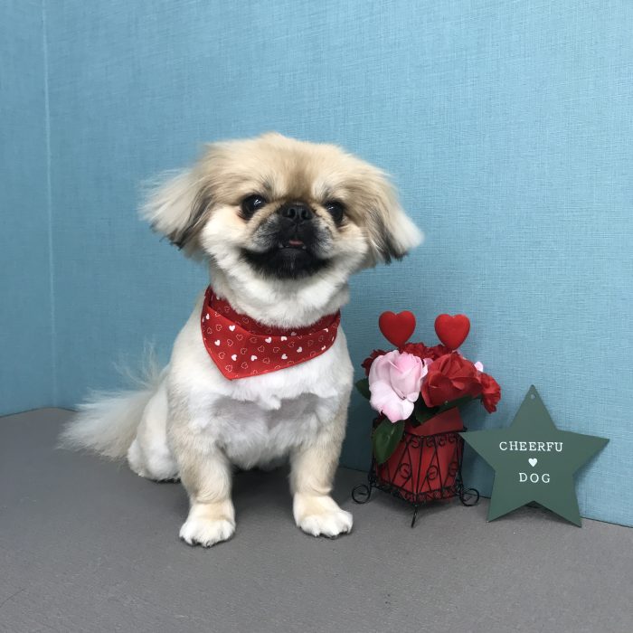 中嶋　リンちゃん