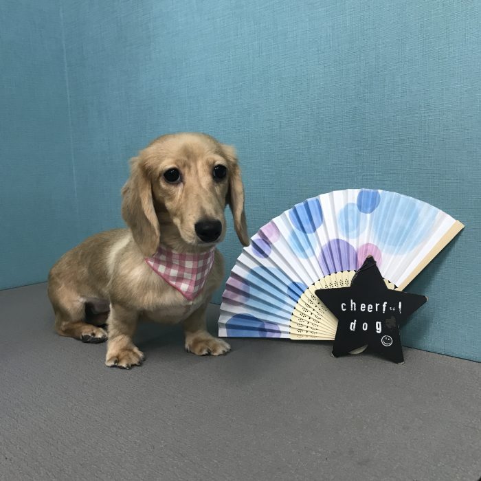 宮田　らなちゃん