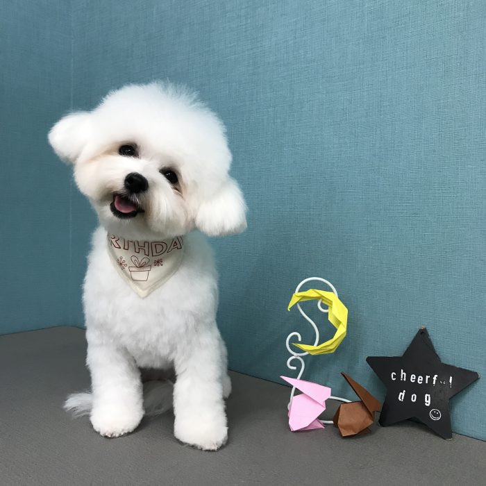 松田　おもちちゃん