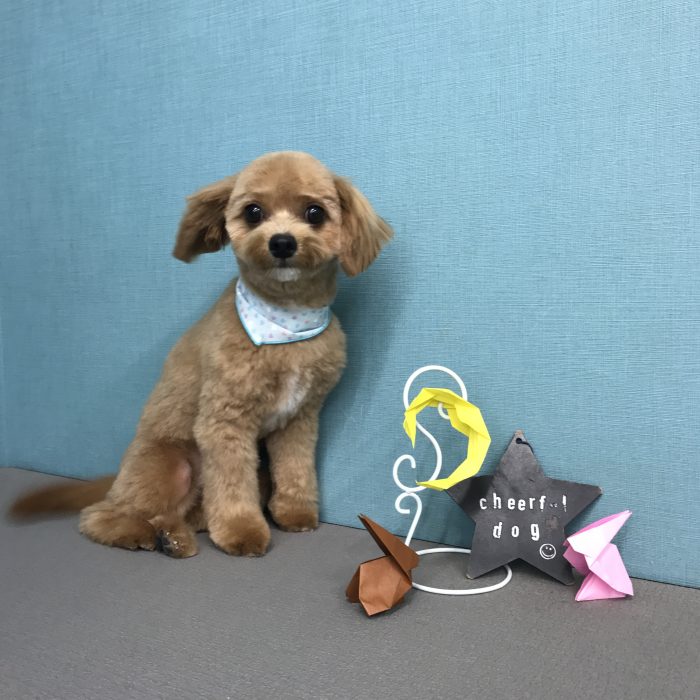 北村　くうくん