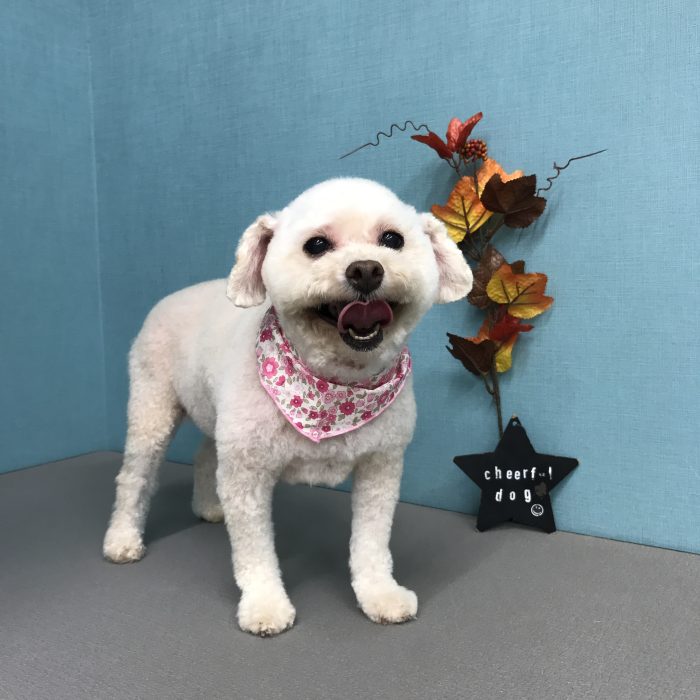 下濱　こなつちゃん