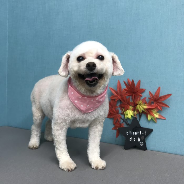 下濱　こなつちゃん