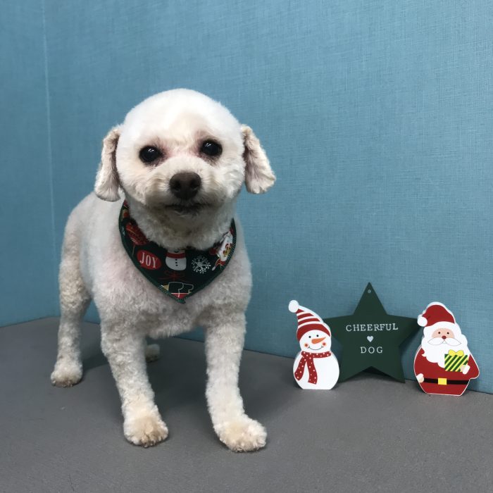 下濱　こなつちゃん