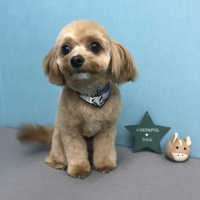 北村　くうくん