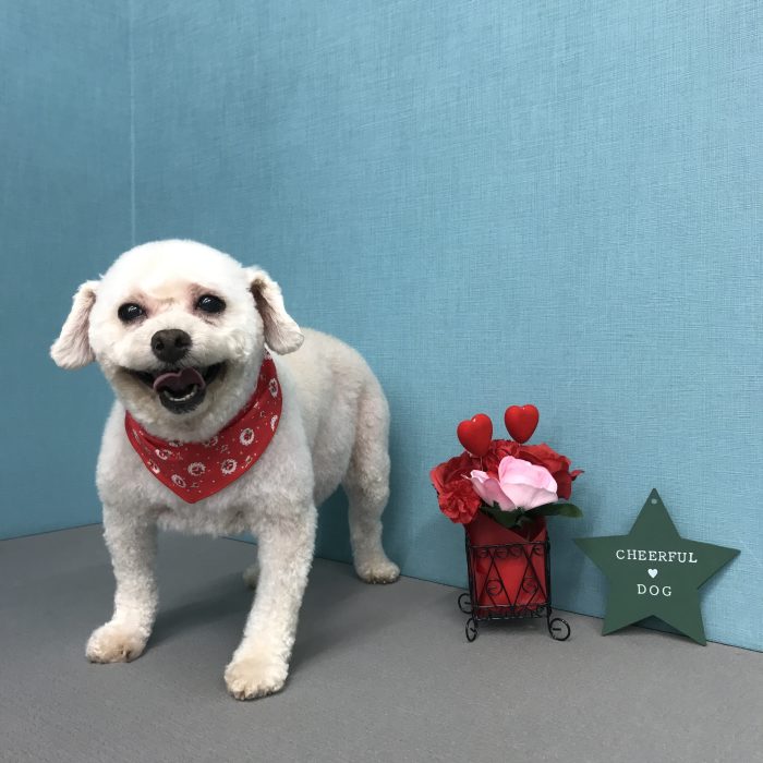 下濱　こなつちゃん