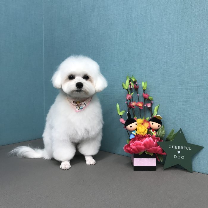 松田　おもちちゃん