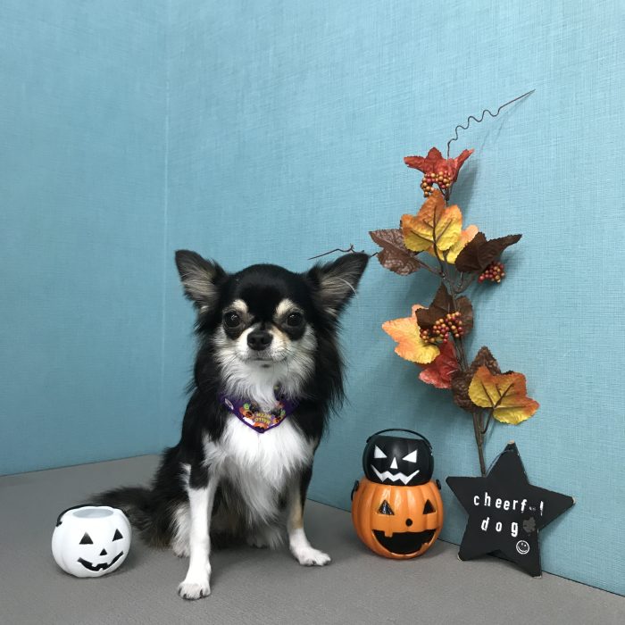 越村　ちゃろくん