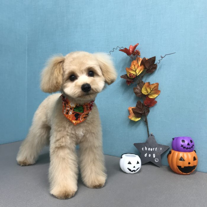 池端　ムギくん