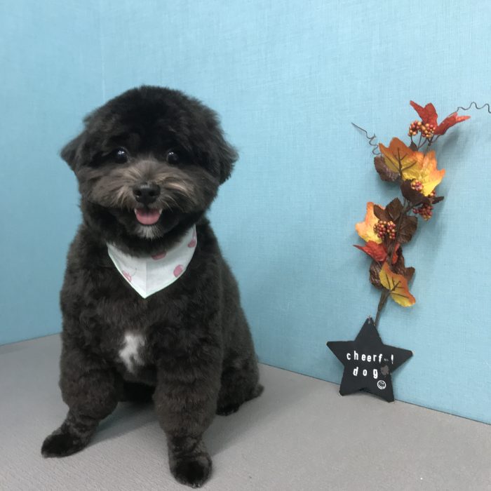 松田　まめきちくん