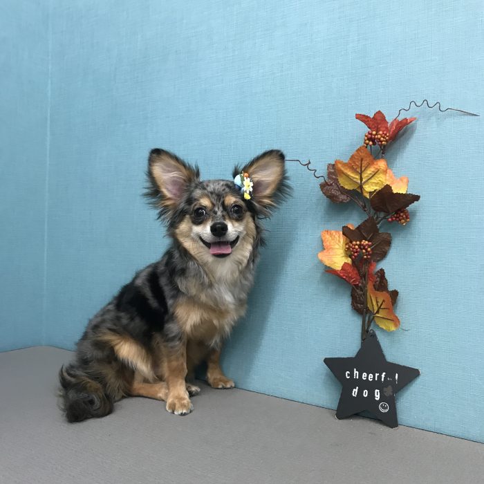 村口　レンくん