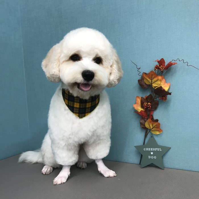 宮澤　ぽん太くん