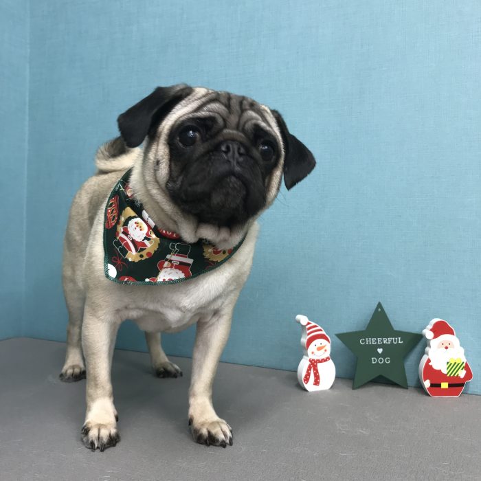 深川　てんくん