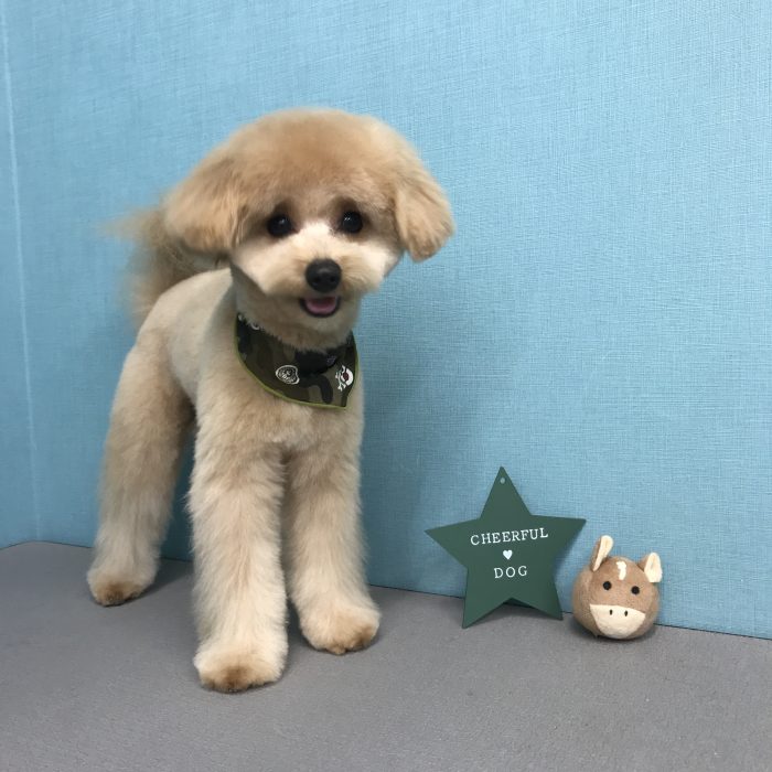 池端　ムギくん