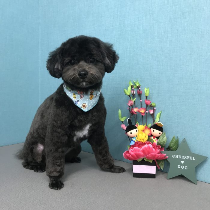 松田　まめきちくん