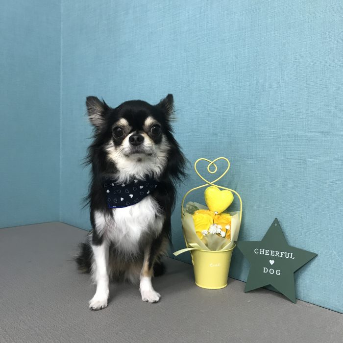 越村　ちゃろくん