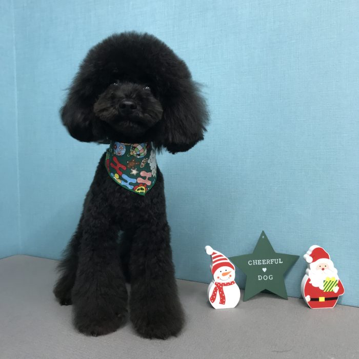 藤浜　モナくん