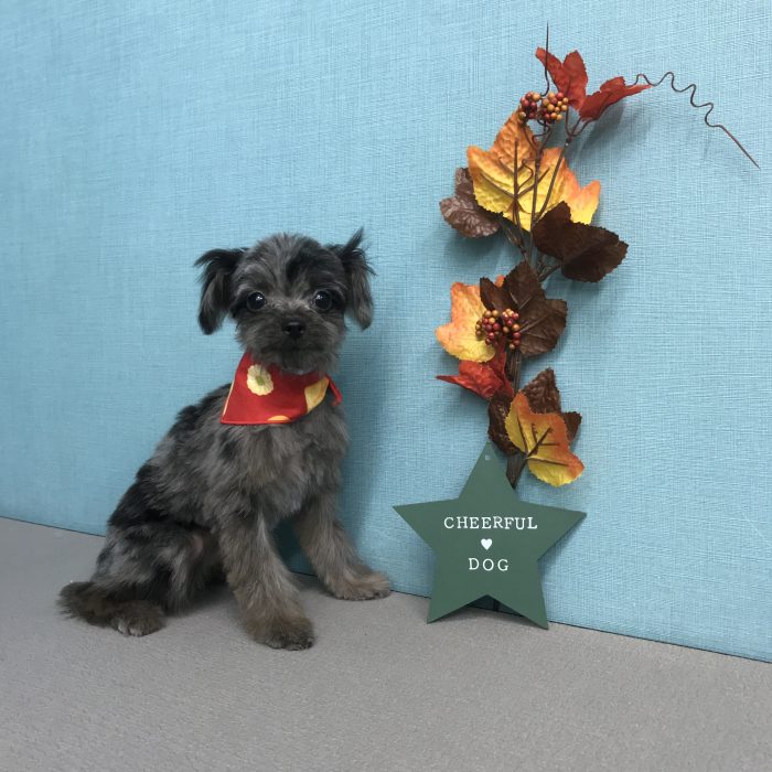 堂前　勢菜ちゃん