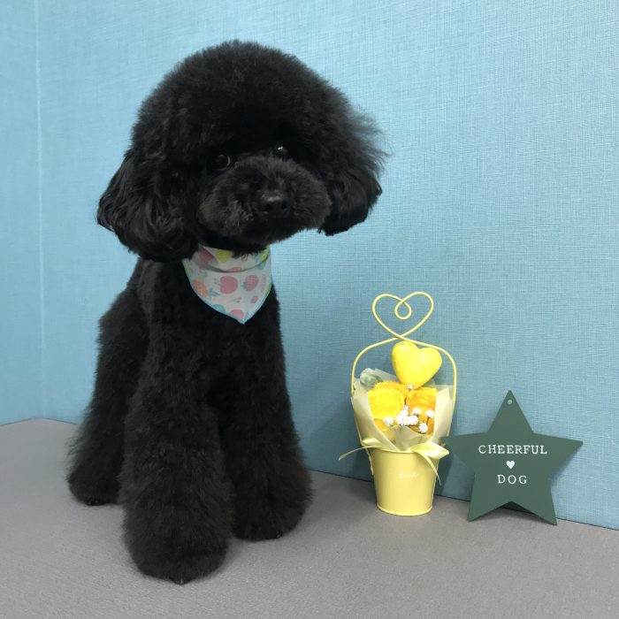 藤浜　モナくん