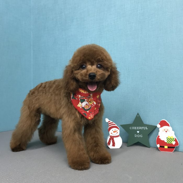 小野　モカちゃん