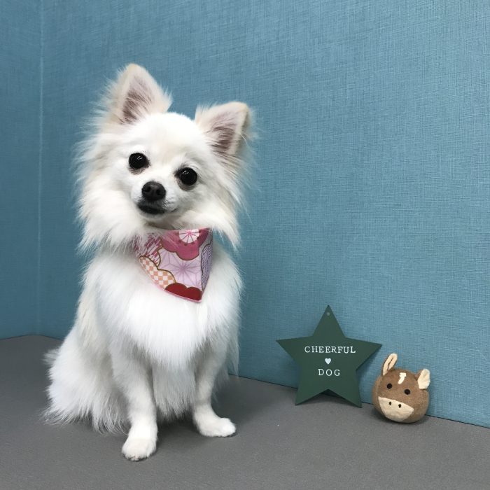 宮本　ほにちゃん