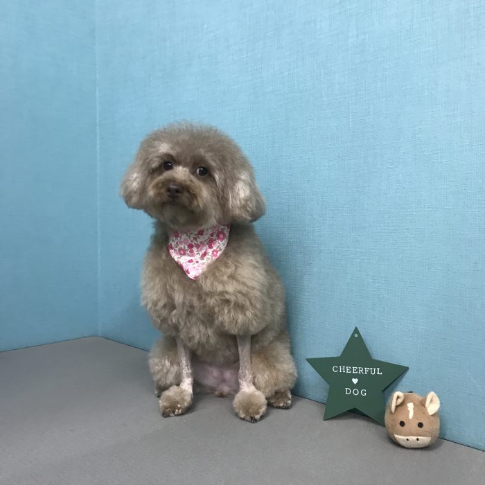 神田　バニちゃん