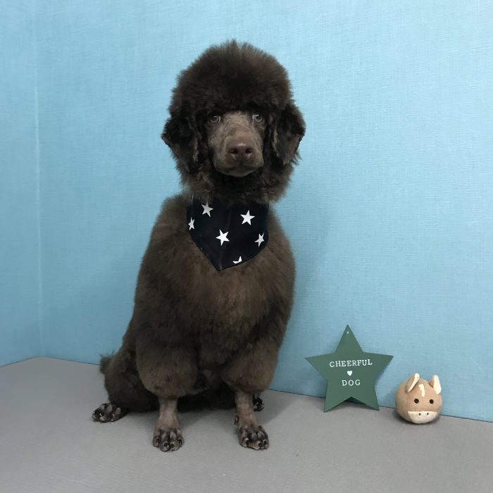 神田　ムックくん