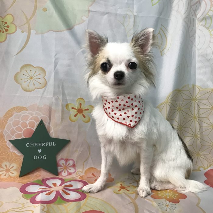 東　のんちゃん