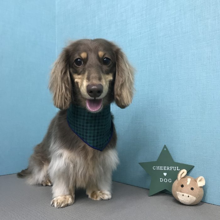 平川　らいちくん