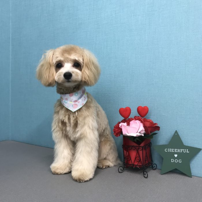 中西　ムックくん