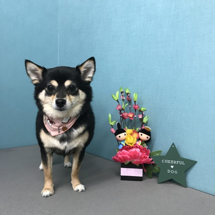 酒田　はむちゃん