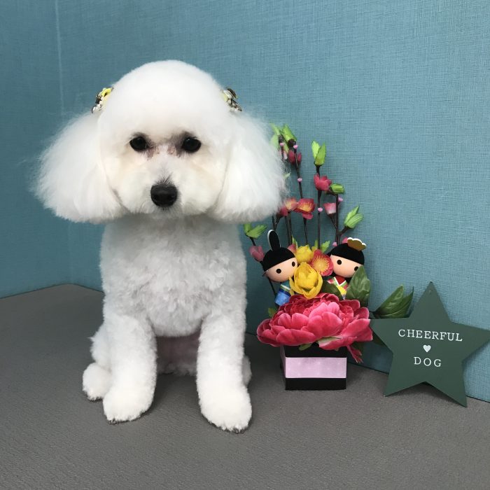 北村　メルちゃん