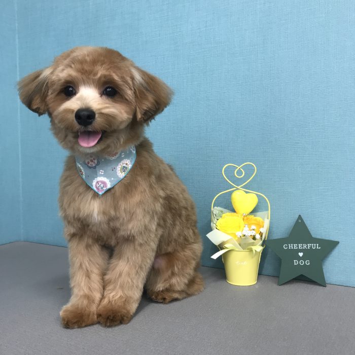 神田　ちゃちゃ丸くん